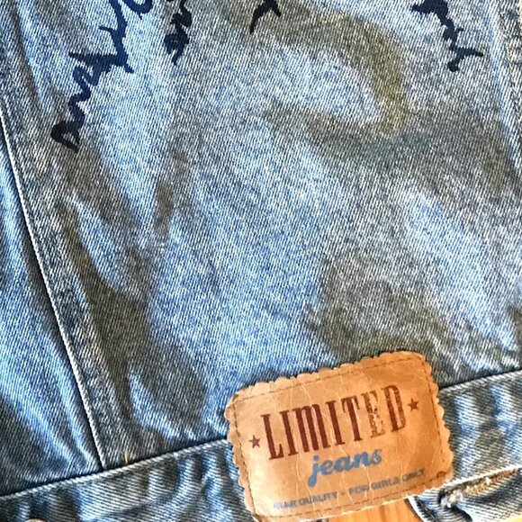 Upcycled Denim Vest, Junior Size 14: Painted Table Rock Lake Sleeveless Jacket - Picture 6 of 14